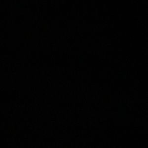 Meet your Posher, Cheyenne